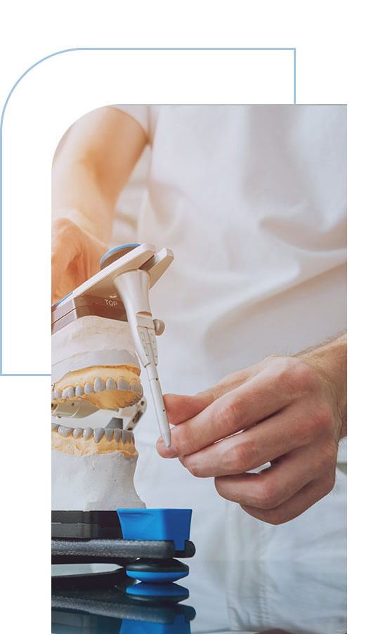 a person using a tool to put on a model of a jaw